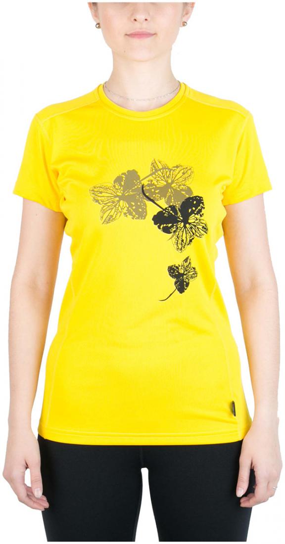 Red Fox Футболка Korela Женская (42, 4300/желтый, ,) red fox футболка hard rock t мужская 56 4300 желтый
