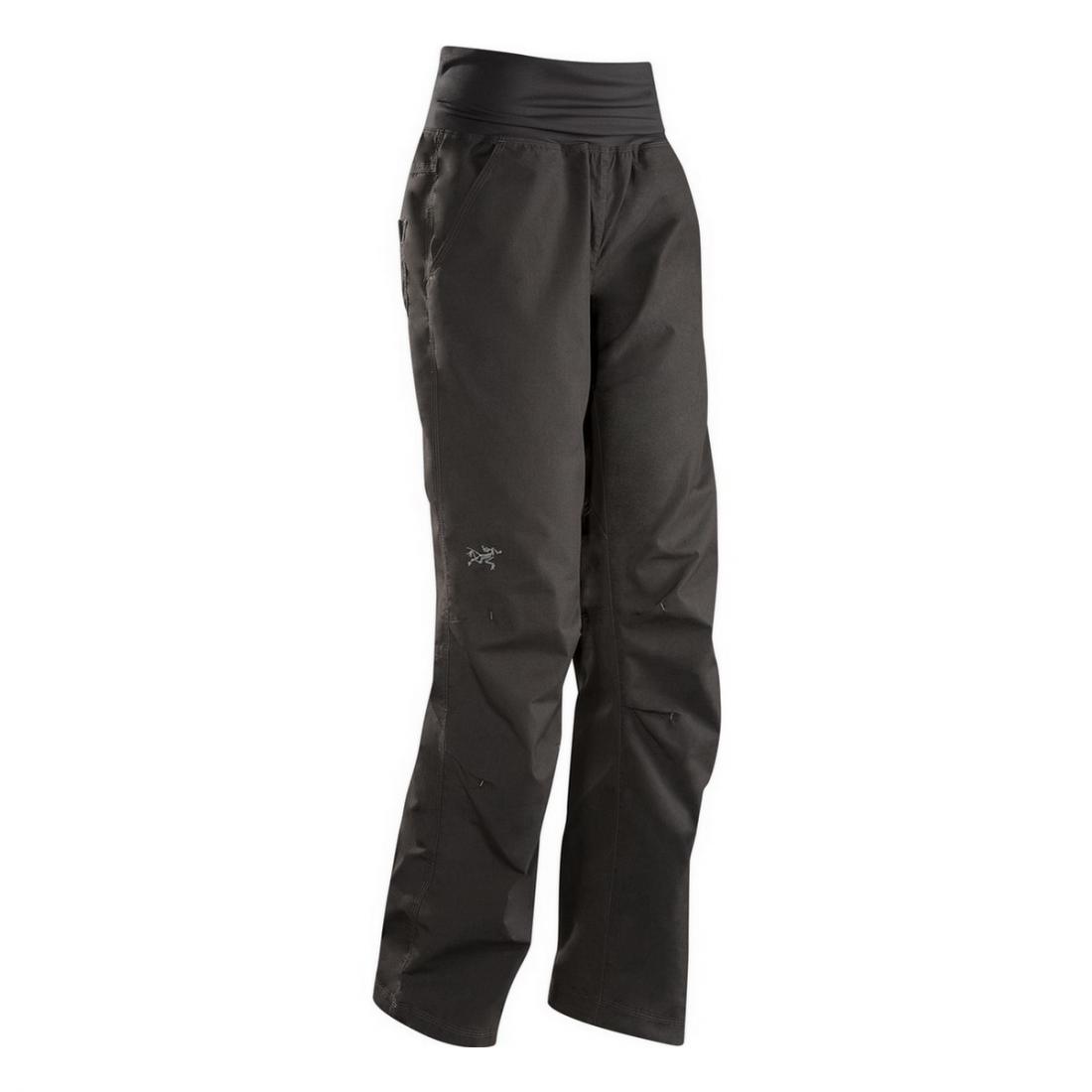 фото Брюки Emoji Pant жен. Arcteryx