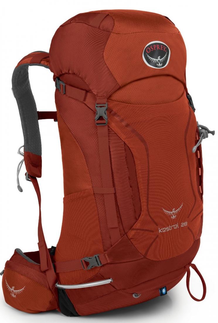 Рюкзак Kestrel 28 Рюкзак Kestrel 28Рюкзаки<br><br><br>Цвет: Темно-красный<br>Размер: 25 л