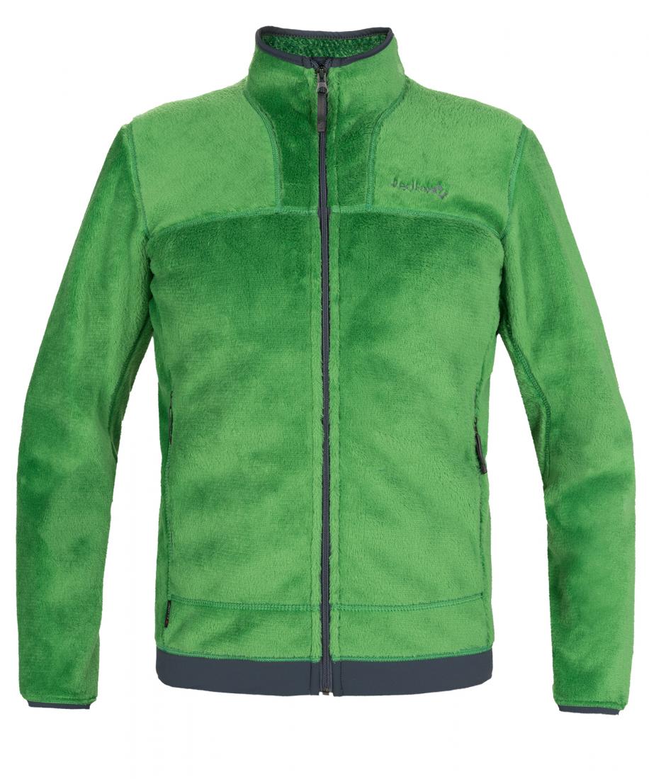 Куртка Dolomite R Мужская Red Fox, цвет зеленый, размер M - фото 1