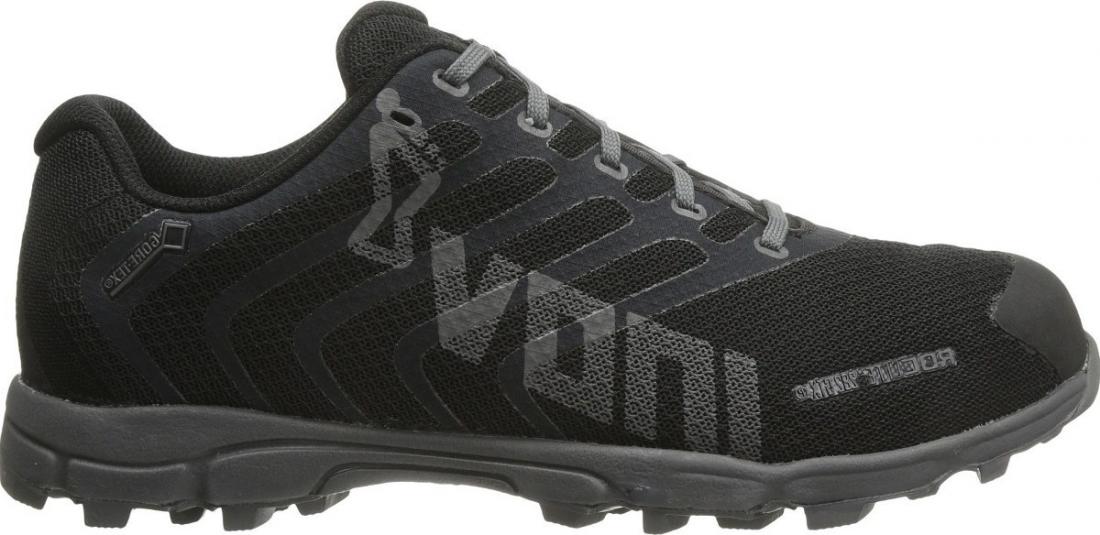 фото Кроссовки женские Roclite™ 282 GTX Inov8