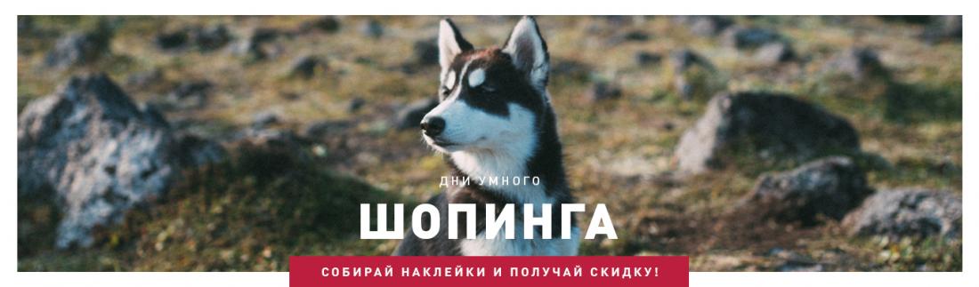Дни умного шопинга