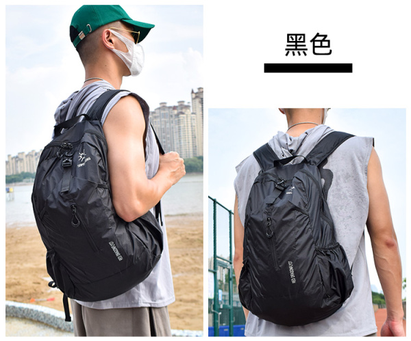 SAMSTRONG b0084 red dragonfly 27 ультралегкий рюкзак (27 черный)