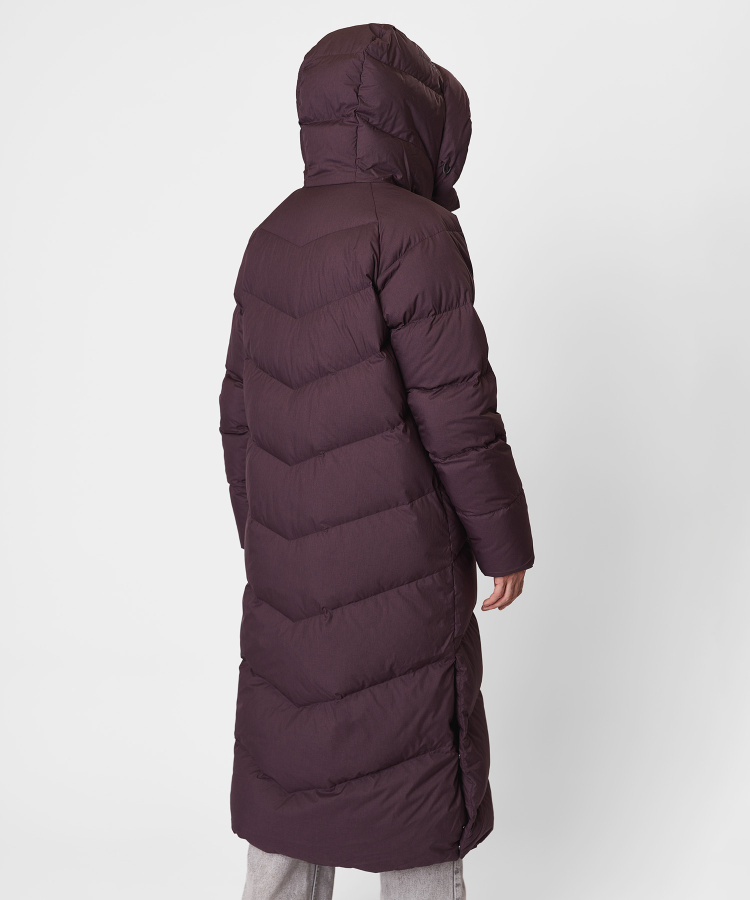 rf_20260220_-1192 copy.jpg