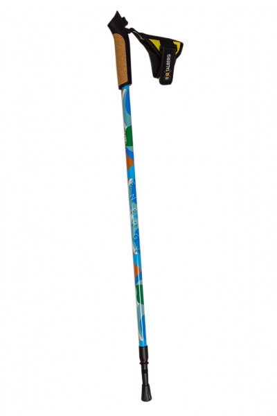 Купить Talberg energy палки для скандинавской ходьбы (1 пара, синий) 2 000 ₽ Talberg energy палки для скандинавской ходьбы (1 пара, синий)