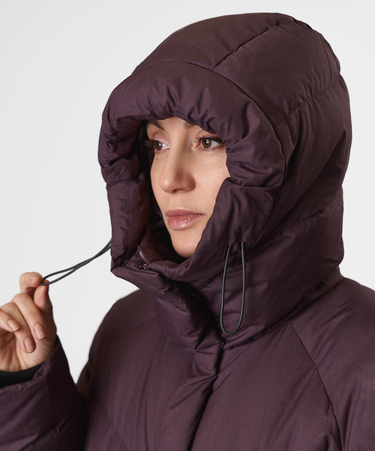 rf_20260220_-1220 copy.jpg