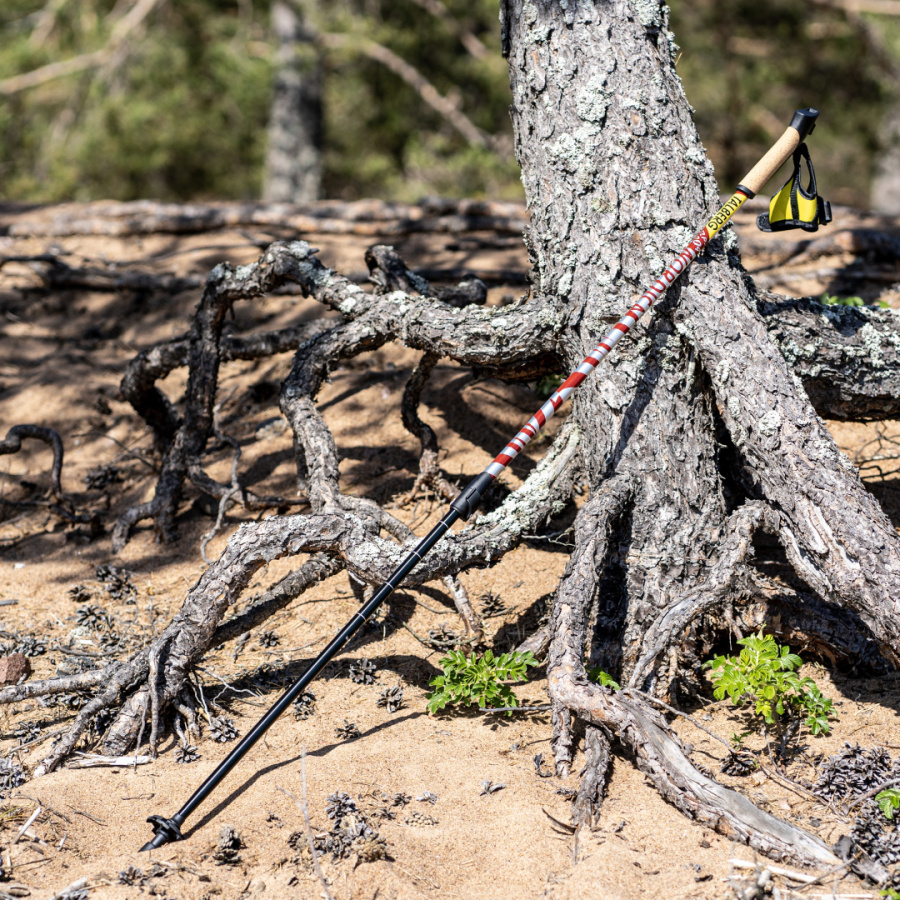 NORDICA палки для скандинавской ходьбы (1 пара, синий) NORDICA палки для скандинавской ходьбы (1 пара, синий)