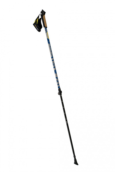 Купить  nordica палки для скандинавской ходьбы (1 пара, синий) 2 400 ₽  nordica палки для скандинавской ходьбы (1 пара, синий)