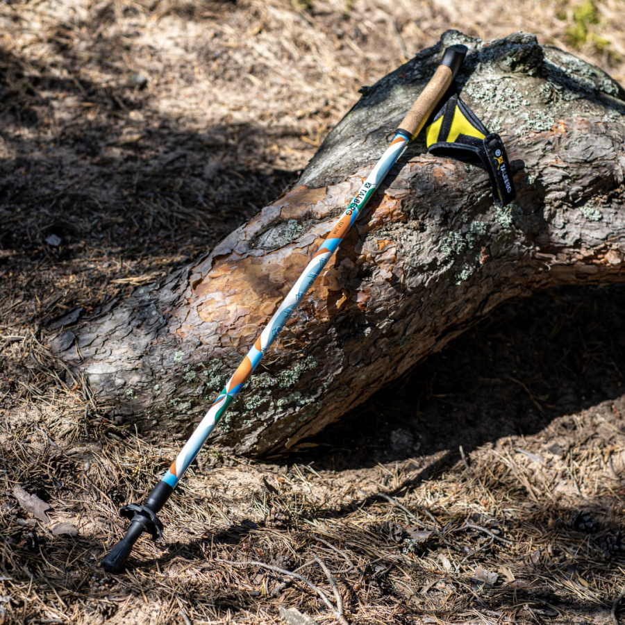 ENERGY палки для скандинавской ходьбы (1 пара, синий) ENERGY палки для скандинавской ходьбы (1 пара, синий)