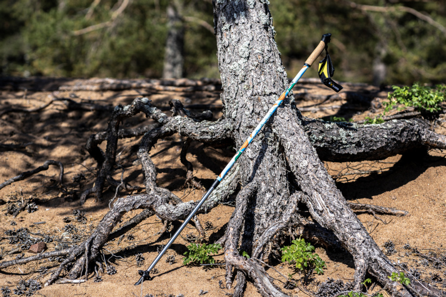 ENERGY палки для скандинавской ходьбы (1 пара, синий) ENERGY палки для скандинавской ходьбы (1 пара, синий)