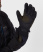 Перчатки Softshell Technogloves (XL, 1000/черный, , , , , ) Перчатки Softshell Technogloves (XL, 1000/черный, , , , , )
