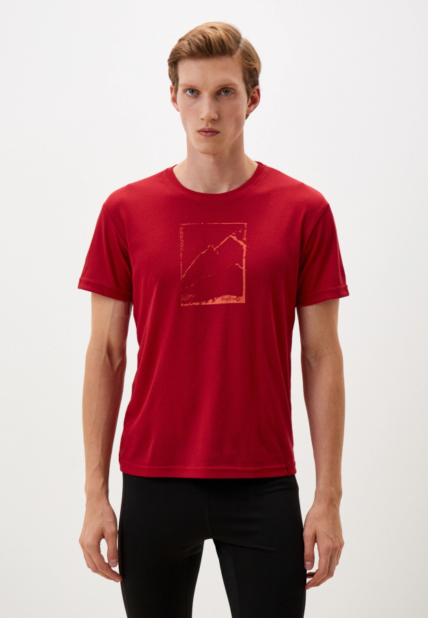 Футболка Pass Мужская (S, 1200/т.красный, , , , , )