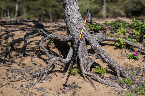 Купить Talberg classic pole палки треккинговые (1 пара, красный) 3 950 ₽ Talberg classic pole палки треккинговые (1 пара, красный)