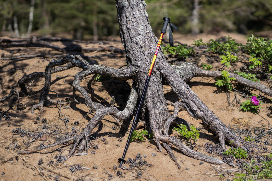 CLASSIC POLE палки треккинговые (1 пара, красный) CLASSIC POLE палки треккинговые (1 пара, красный)