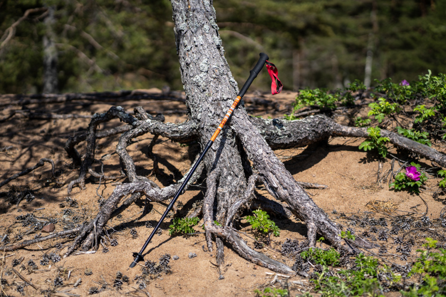 RANGER POLE палки треккинговые (коричневый) RANGER POLE палки треккинговые (коричневый)