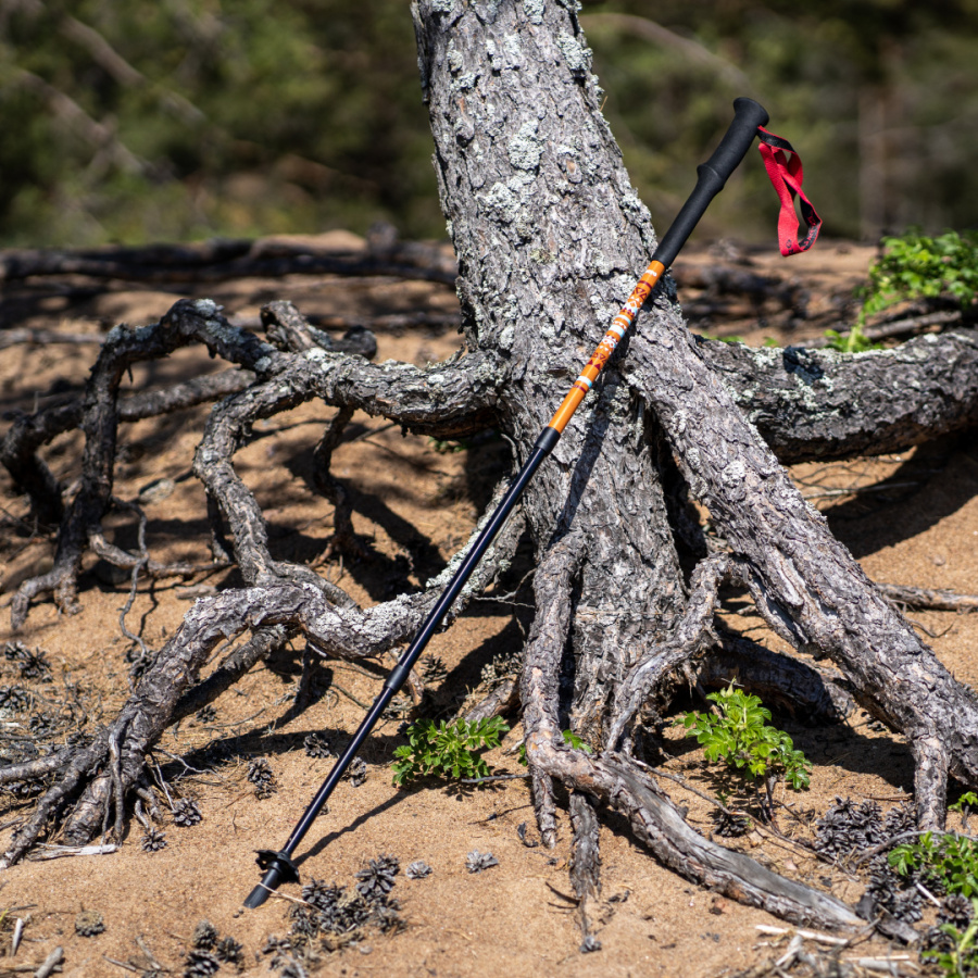 RANGER POLE палки треккинговые (коричневый) RANGER POLE палки треккинговые (коричневый)