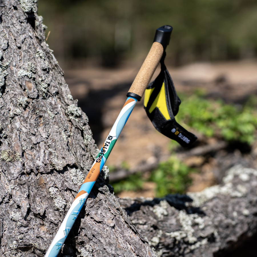 ENERGY палки для скандинавской ходьбы (1 пара, синий) ENERGY палки для скандинавской ходьбы (1 пара, синий)