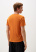 Футболка Pass Мужская (L, 3300/апельсин, , , , , )