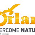 Orlan