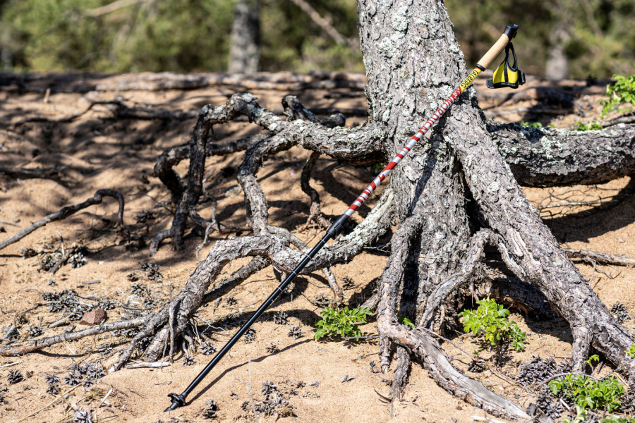 NORDICA палки для скандинавской ходьбы (1 пара, синий) NORDICA палки для скандинавской ходьбы (1 пара, синий)