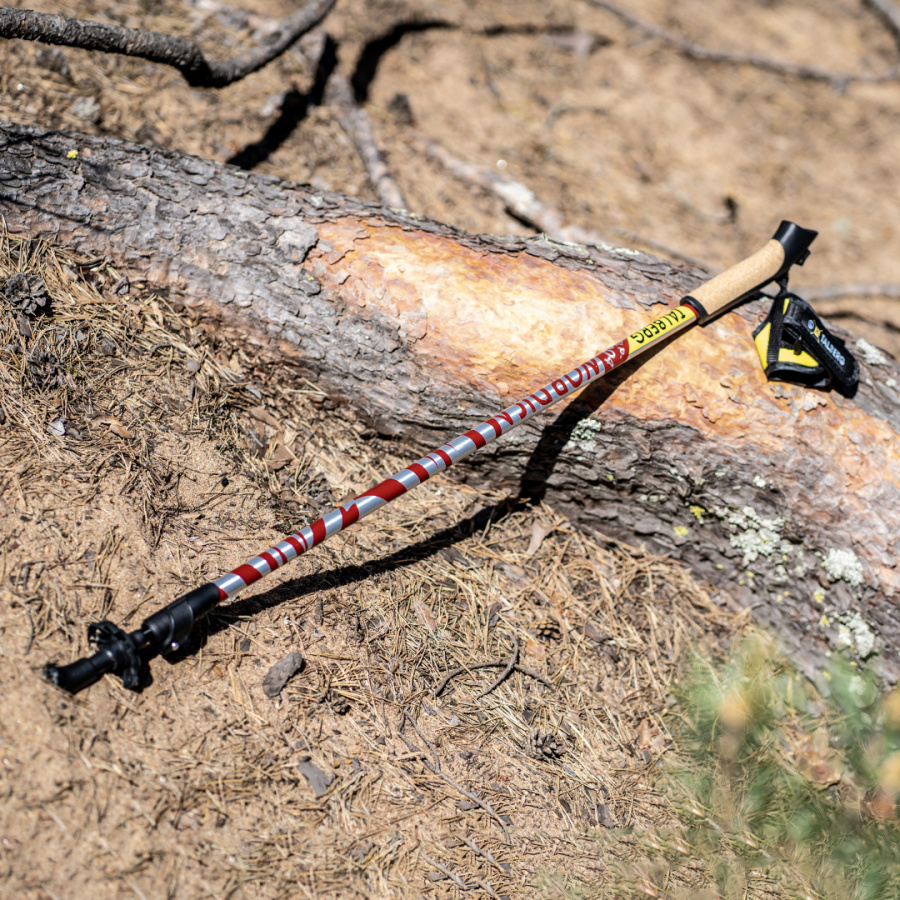 NORDICA палки для скандинавской ходьбы (1 пара, синий) NORDICA палки для скандинавской ходьбы (1 пара, синий)