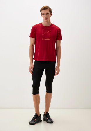 Футболка Pass Мужская (S, 1200/т.красный, , , , , )