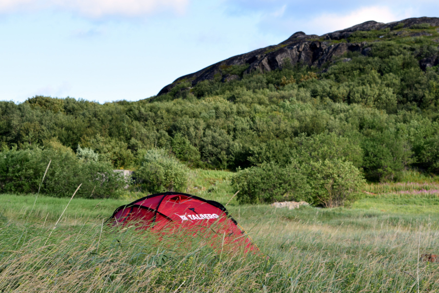 PEAK PRO 3 RED палатка Talberg (красный)