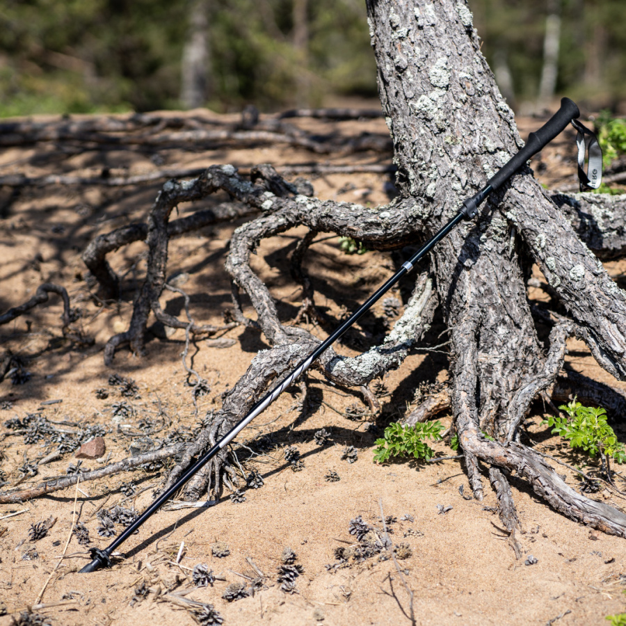 ASTRA-Z POLE палки треккинговые (черный) ASTRA-Z POLE палки треккинговые (черный)