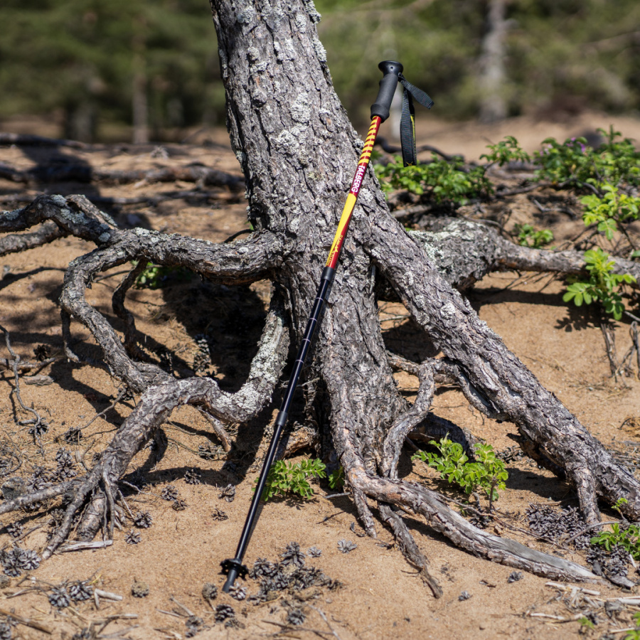 CLASSIC POLE палки треккинговые (1 пара, красный) CLASSIC POLE палки треккинговые (1 пара, красный)