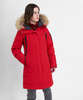 redfox202302_1941-copy.jpg