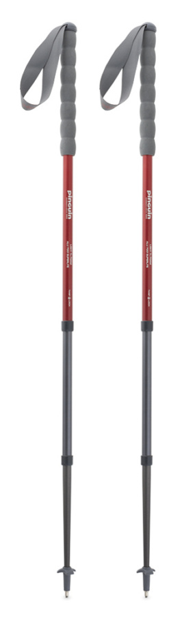 Треккинговые палки Fastrail TL Foam (, Red, , , , , )