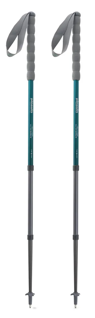 Треккинговые палки Fastrail TL Foam