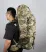 SAMSTRONG b0441 blue fox 80a. походный рюкзак (80 камуфляж)