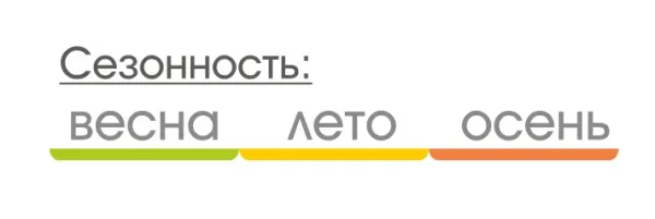 Talberg blander 4 палатка talberg (зелёный)