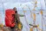 Talberg баул транспортировочный transporter bag 110 (красный)