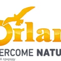 Orlan Orlan
