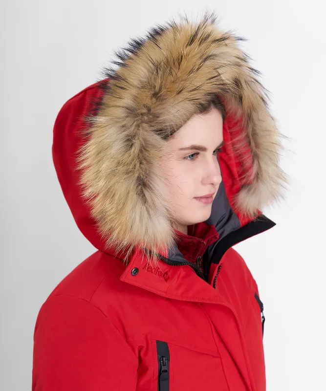redfox202302_2010-copy.jpg