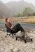 Atepa 2405 ultralight square low chair кресло скл. (черный)