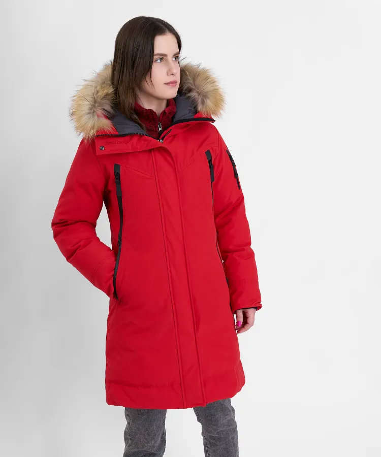 redfox202302_1941-copy.jpg